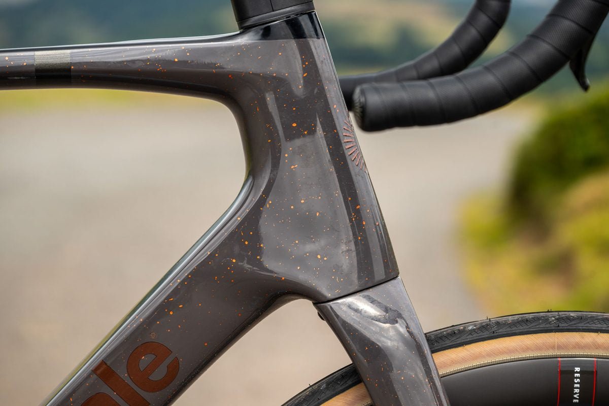 Cannondale Synapse Carbon 2 LE - Carbon Endurance Road (Quicksand)