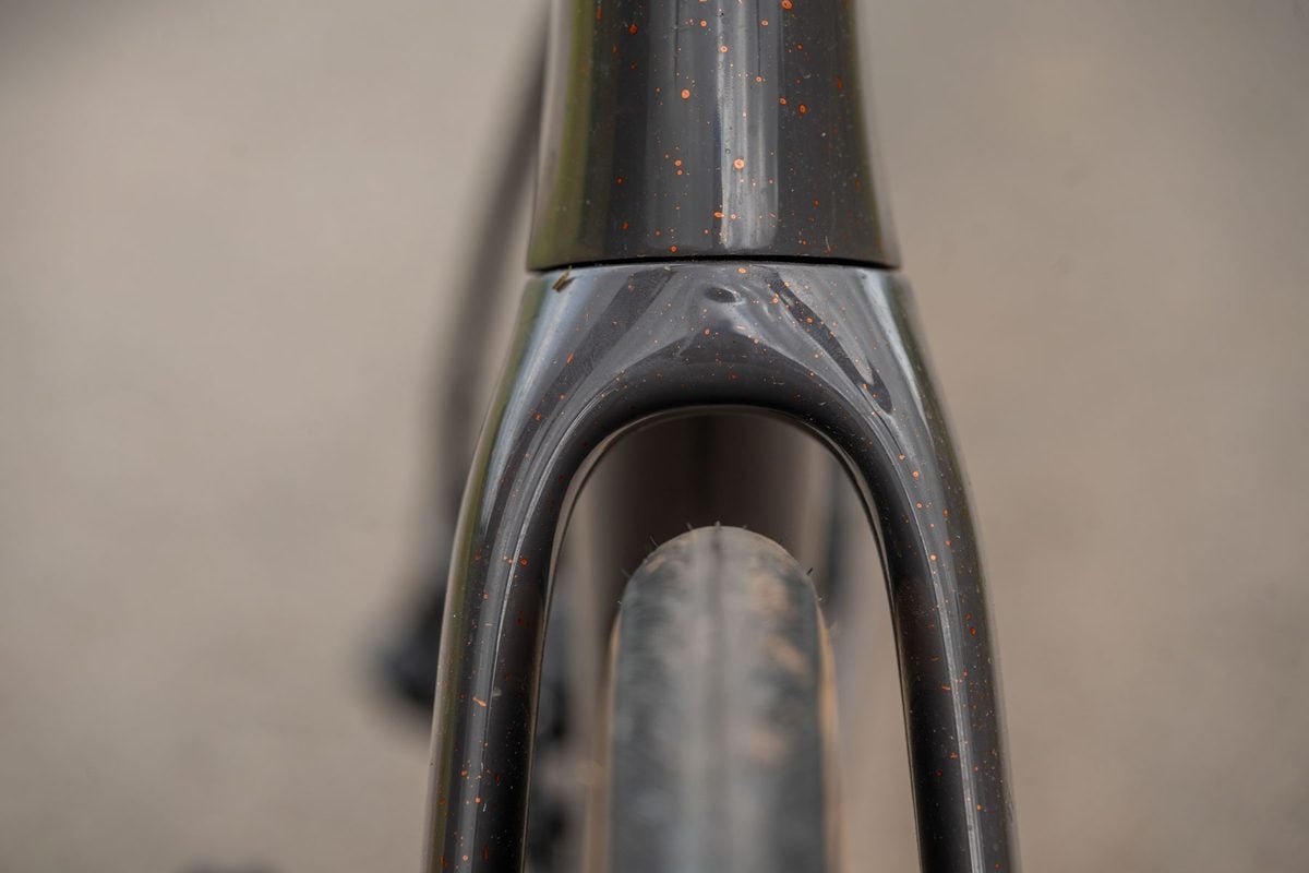 Cannondale Synapse Carbon 2 LE - Carbon Endurance Road (Quicksand) - Image 2