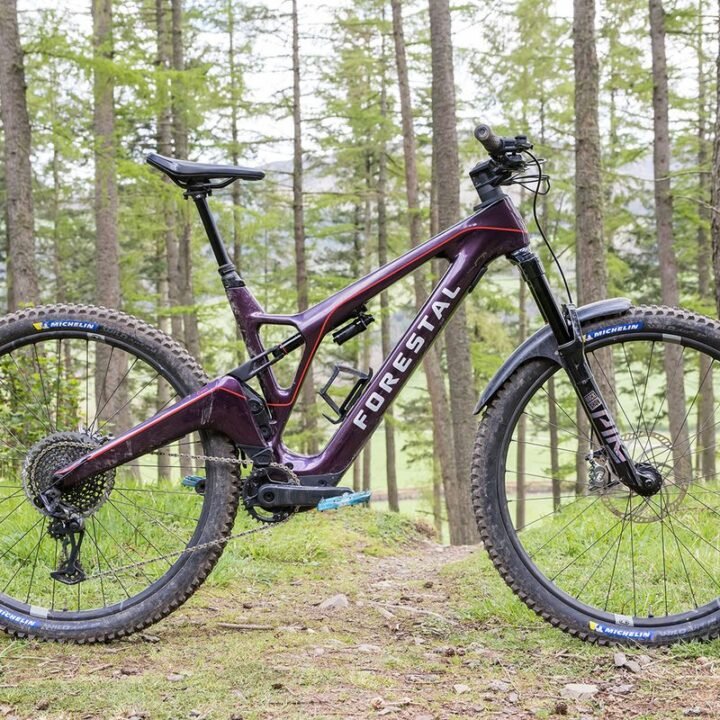 Forestal Cyon Neon - Premium Carbon E-MTB (Neon Yellow)
