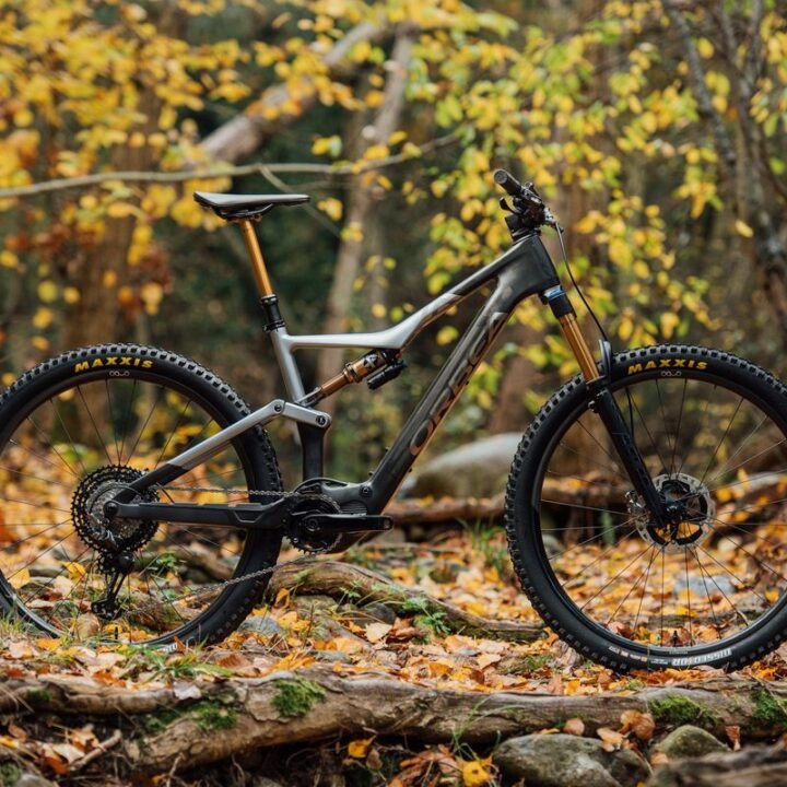 Orbea Gain D40 - Electric Road (Carbon Raw)