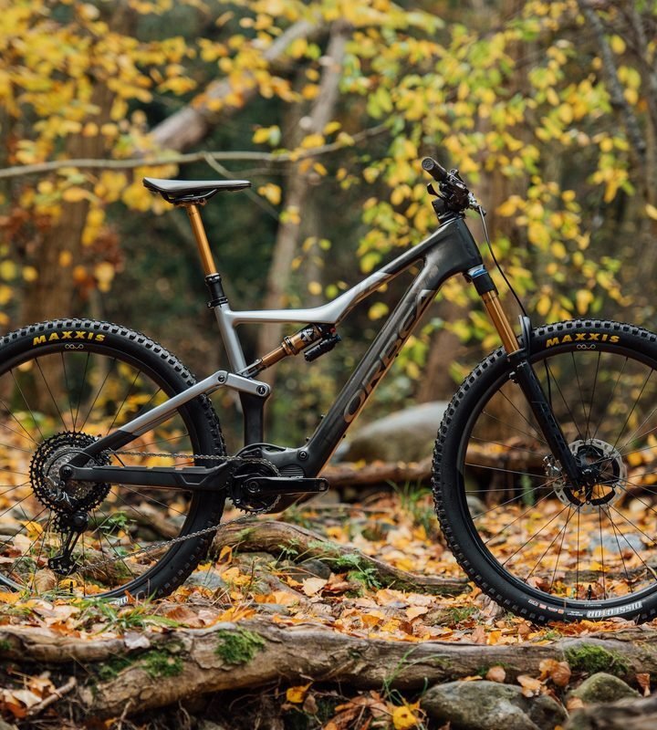 Orbea Gain D40 - Electric Road (Carbon Raw)