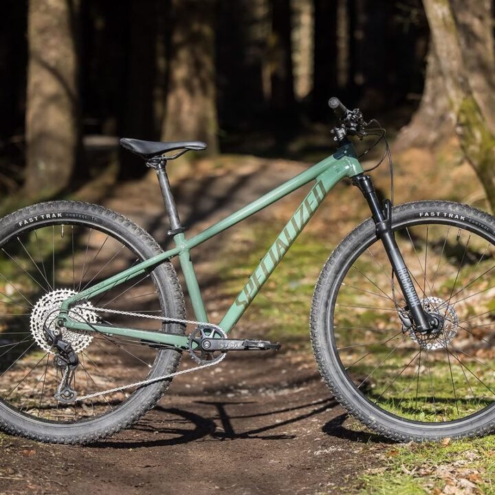Specialized Rockhopper Elite 29 - XC Hardtail (Satin Forest)