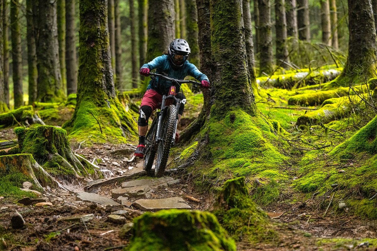 Santa Cruz Tallboy 4 C R - Carbon Trail MTB (Gloss Carbon / Yellow) - Image 5