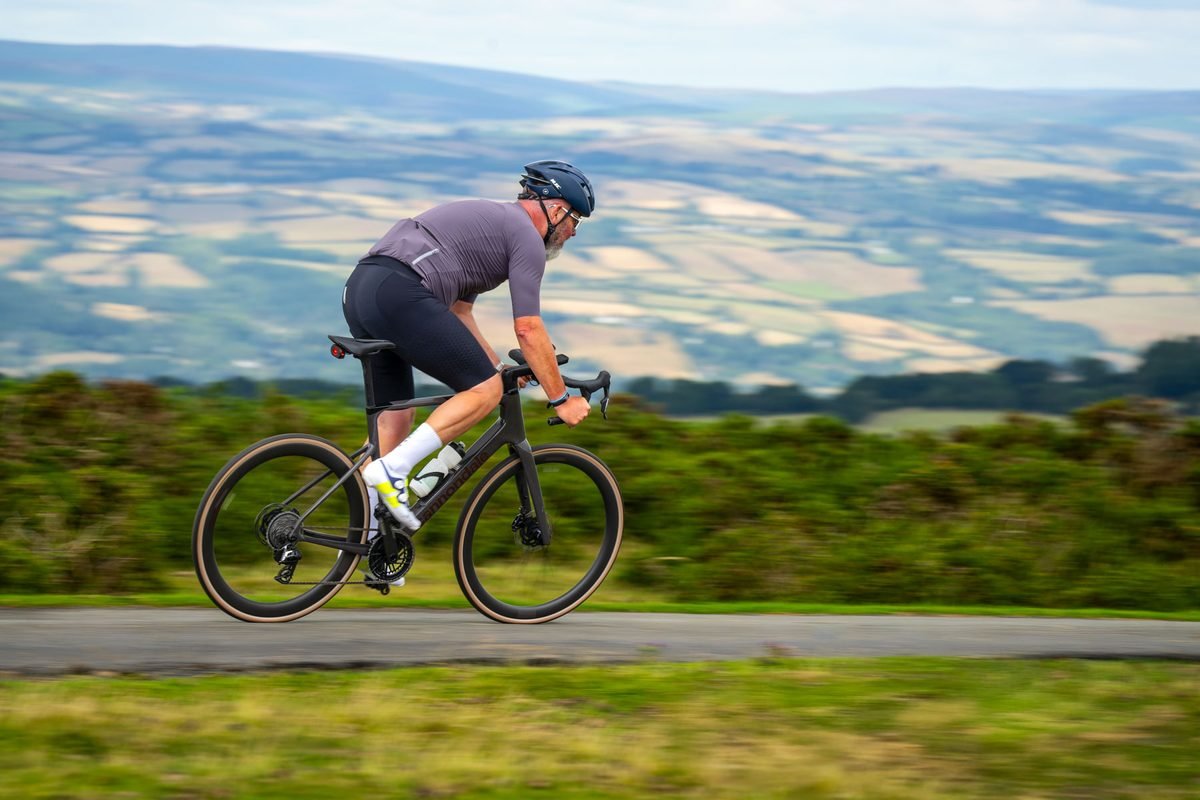 Cannondale Synapse Carbon 2 LE - Carbon Endurance Road (Quicksand) - Image 6