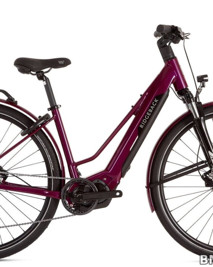 Ridgeback Advance 2W - Step-Through Hybrid E-Bike