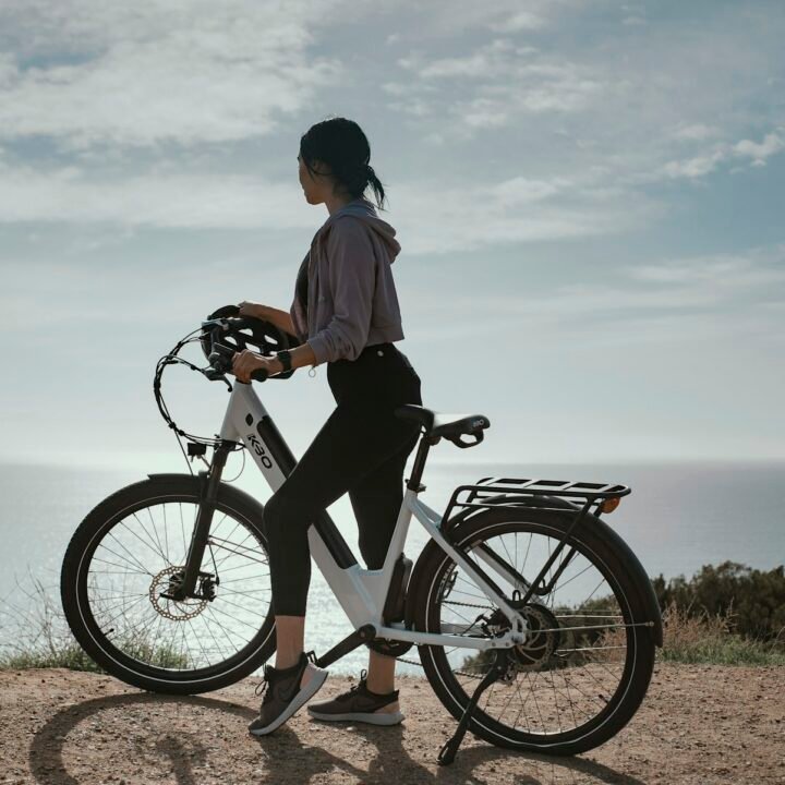 Spoke & Sprocket Thornby UC-1 Belt-Drive Urban E-Bike